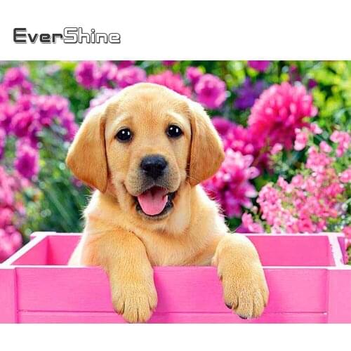 Evershine 5D Diamond Mosaic Sale Animal Diy Diamond Painting Full Drill Square Dog Rhinestones Pictures Diamond Embroidery Pink