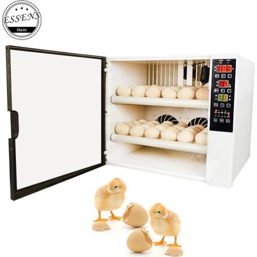 2019 Incubator 60 Chicken eggs mini egg incubator fully automatic 220V &12V Dual Voltage