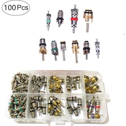 100 Pcs R134A A/C Auto Air Conditioning Valve Core Set for Repairing Cars Air Conditioning System