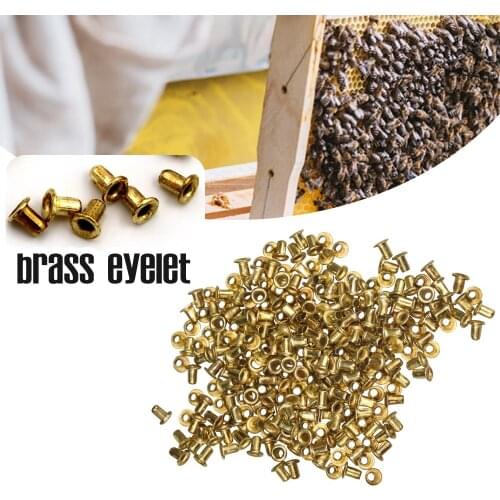 1100pcs Beekeeping Beehive Frame Brass Eyelet Hole Honeyee Nest Box Bee Hive Tools For Beekeeper Equipment Suppiler