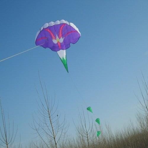 Free shipping high quality 5m morning glory soft kite with handle line octopus kitewheel outdoor toys for adults kite flying