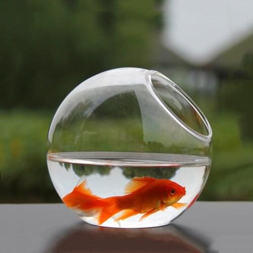 2pcs/pack Diameter=15cm Big Size Side Open Glass Terrarium Vase Home Decoration Creative Aquarium Fishbowl Friend Gift