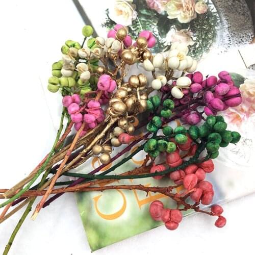 Eternal Flower Valentines Day Flower Material Ginkgo Gold and Silver Fruit Dried Fruit Eternal Flower DIY Material