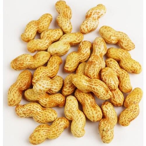 10PC Artificial Foods & Vegetables Pea nut Simulation Fake Dried Fruits And Vegetables Wholesale Photography Shooting Background