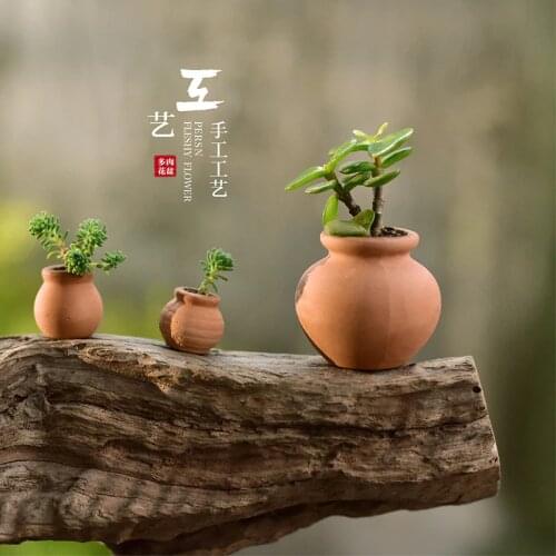 Itrintal Home And Garden Products