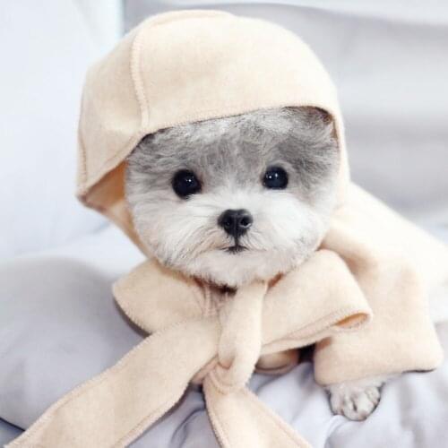 Winter Dog Coat Jacket High Quality Pet Clothing Dog Windbreaker Outfit Puppy Costume Yorkshire Pomeranian Clothes Apparel