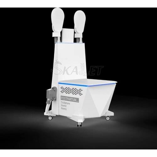 2021 HIEMT Fat Removal Weight Loss Sculpture EMS Muscle Stimulator Electromagnetic Body Contouring Beauty Equipment