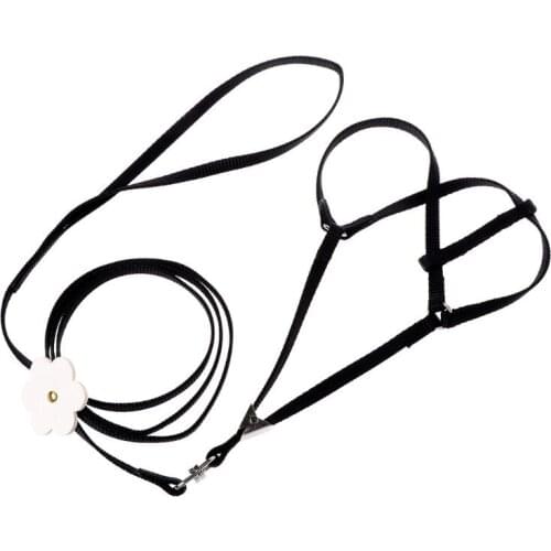 Pet Harness Small Pets Parrot Bird Parakeet Leash Outdoor Adjustable Strap Training Rope Flying Cross Band Soft Colorful