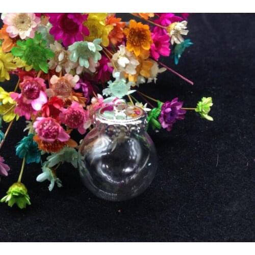 5sets 20*12mm Glass globe orbs with crown silver base set glass vial pendant DIY glass bottle dome cover necklace pendant charms