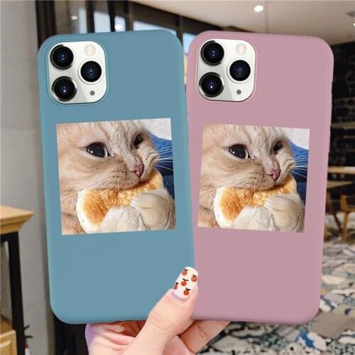 Naughty Cat Phone Back Cover for IPhone 7 8 Plus 12 11 Pro Max Cute Soft Silcone Case for IPhone X XS XR 6s SE2020 Coque Fundas