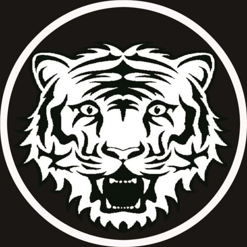 5D DIY Full Diamond Painting Scythe Woman Diamond Mosaic Diamond Drawing Square Diamond Embroidery Cross Stitch Decoration Gift