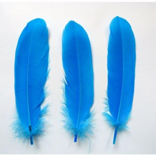 Wholesale 1000Pcs Sky Blue Natural Plume Goose Feather For DIY Crafts Christmas Cosplay Hat Clothing Shoe Accessories Decoration