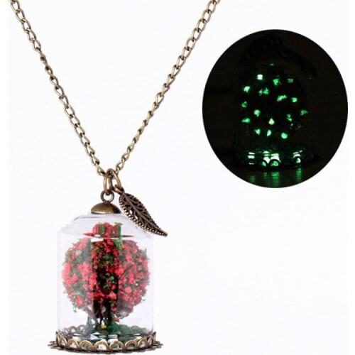 New Retro Semicircle Glass Shade Flower Luminous Pendant Necklace Glowing Imitation Dry Flowers Plant Pendant Jewelry for Women