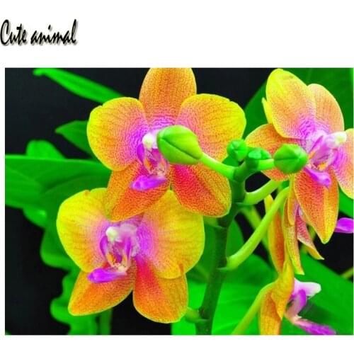 Full Round Square Diamond 5D DIY Diamond Painting orchid flower 3D Embroidery Cross Stitch Rhinestone Mosaic Painting Decor
