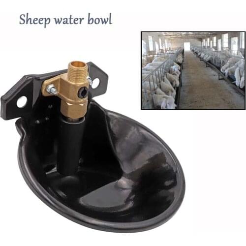 Automatic sheep water bowl Stainless steel drinking goat lamb drinker water bowl with copper valve 20mm pipe farming equipment