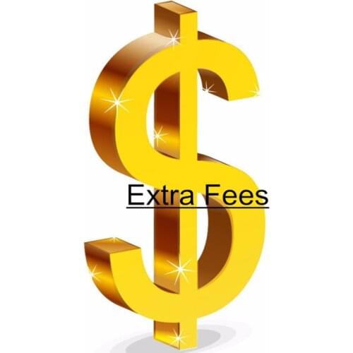 Extra Fee/Extra expense/Premium/Price difference/Postage/Shipping cost/To pay/An additional amount of money/A sum of money/$0.01