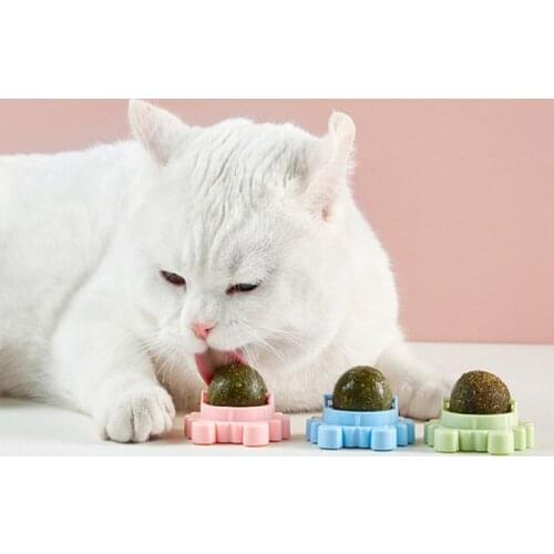 BIGHSM Toys For Cats
