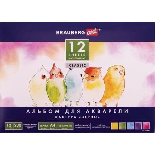 BRAUBERG Painting Supplies