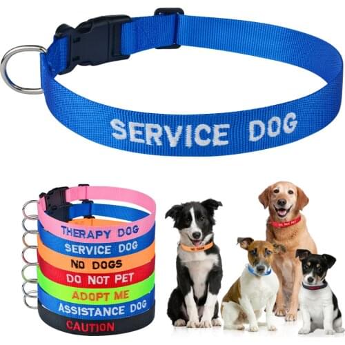 Adjustable Nylon Products Dog Collars Personalized Easy to disassemble Dog Collar Puppy Medium Large Unisex Dogs Collar