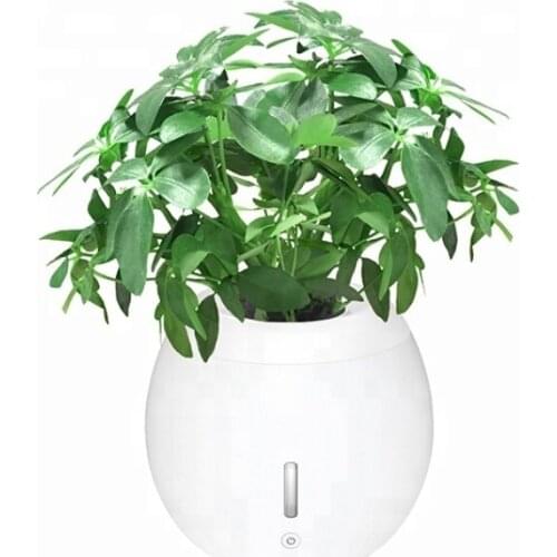 Self-Watering Plant Natural Air Humidifier Planter Smart Indoor Herb Garden Ecological Negative Anion Flower Pots