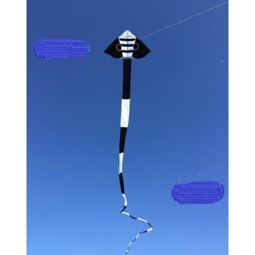 New3d breeze tadpole soft kite Single line kite rainbow large kite Flying kite ripstop nylon fabric outdoor game child bars