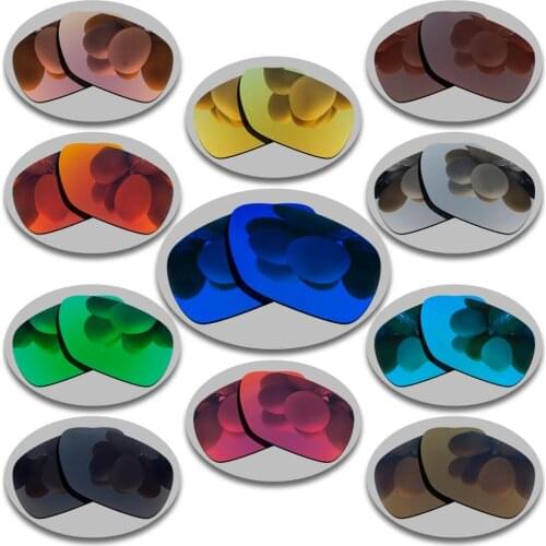Polarized Sunglasses Replacement Lenses for-Inmate Frame - Varities
