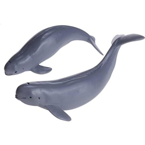 CBIOV Yangtze Finless Porpoise Figure Realistic Dolphin Ocean Endangered Animal PVC Collector Toys Model Decoration Gift Adult