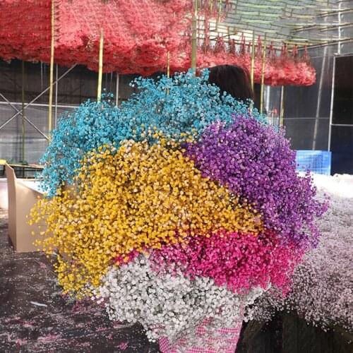 Natural Fresh Dried Preserved Flowers Gypsophila Paniculata,Babys Breath Flower Bouquets Gift for Wedding Decoration,Home Decor