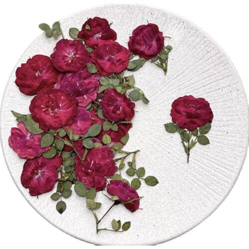 2020 Rose on Stems Pressed Flower Wedding Decoration Gift Cards Bulk Packing 60Pcs