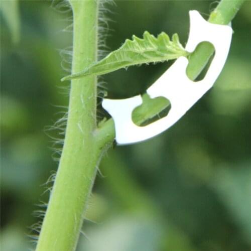 100pcs Plastic Plant Clips Anti-bending Tomatoes Branch Fixing Garden Fruit Vine Connects Supporting Plant Stems Grow Upright