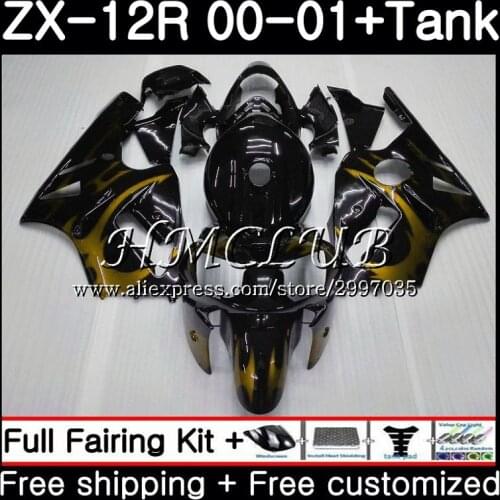 Body+Tank For KAWASAKI Golden flames NINJA ZX1200 C ZX 12R 2000 2001 2002 67HC16 ZX 12 R 1200CC ZX12R 00 ZX-12R 00 01 02 Fairing