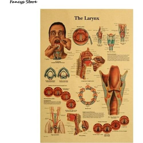 Human Body Illustration-Teeth And Human Body Illustration Throat Retro Kraft Paper Poster Home Campus Hospital Decora Picture