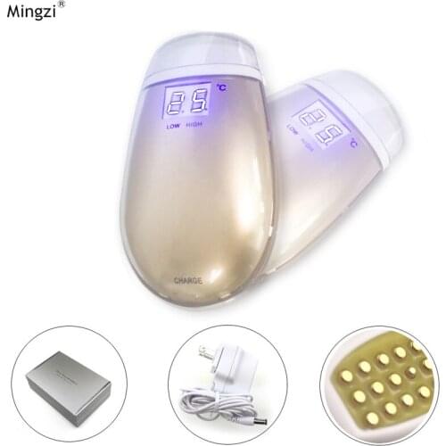 Mini Portable Fractional RF Machine LCD Display rechargable smart temperature control