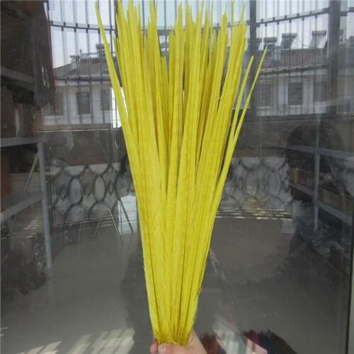 YY-tesco 100Pcs/lot Pheasant Tail Feathers 20-22inch 50-55CM jewelry Halloween Wedding Decorations Yellow Pheasant Feathers