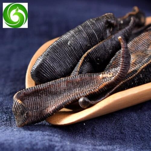 Leeches, sun-dried leeches, dried leeches, health preservation, blood tonic, leeches