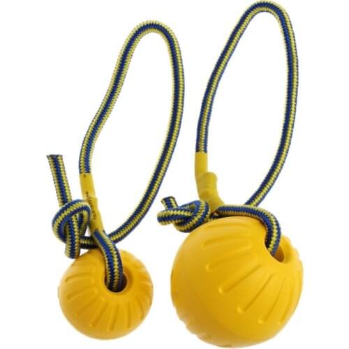 Pet Dog Training Toy Ball Dog Rubber Ball Chew Bite Resistant Toy With Rope