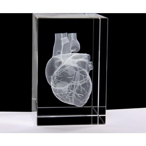 3D stereoscopic crystal inner carving human heart anatomy model 50*50*80mm