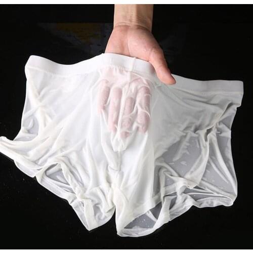 Ice Silk Transparent Boxers Bulge See Through Underpants Sexy Briefs Low Waist Panties Lingerie Intimates Mens Underwear
