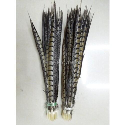 Headdress Feathers,100Pcs-16-20"40-50cm NATURAL Lady Amherst Pheasant Tail Feathers,Lady Amherst Side Tails,feather decoration