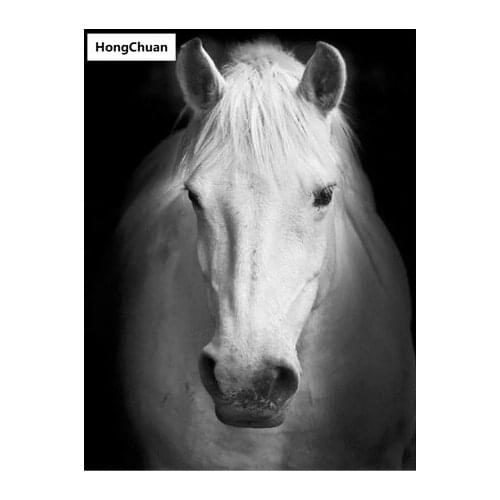 HONGCHUAN Kits For Embroidery With Beads