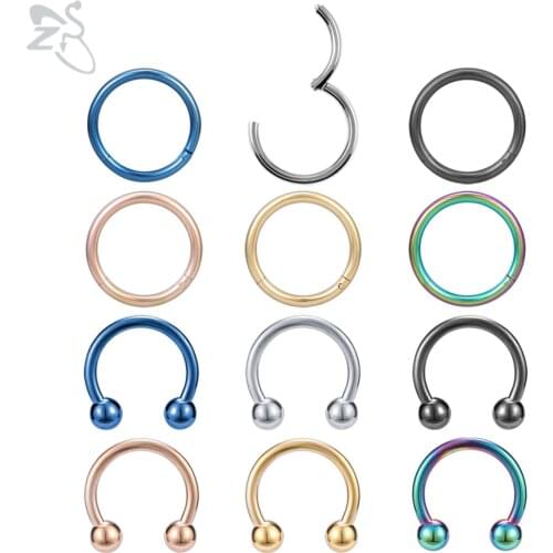 ZS 6/12pcs Round Stainless Steel Nose Ring Set Horseshoe Nostril Piercings 16g/18g Colorful Lip Ear Conch Helix Piercing Jewelry