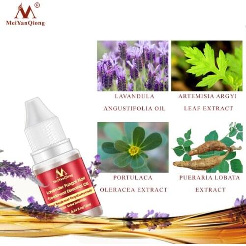 10ml Nail Supplies For Professionals Nail Fungus Treatment Anti Fungal Toenail Repair Care Lavender Essential Oil TO