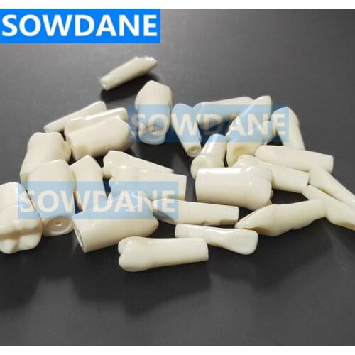 Dental Tooth Preparation Grinding Polishing Operation Teeth Practice 28 Pcs Spare Replace Teeth Teaching Model Yellow Color