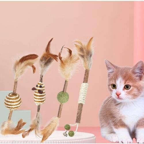 Cats Chew Toy Natural Catnip Matatabi Actinidia Silvervine Cleaning Teeth Toy Cat Snacks Sticks Remove Cat Tartar Pet Toys