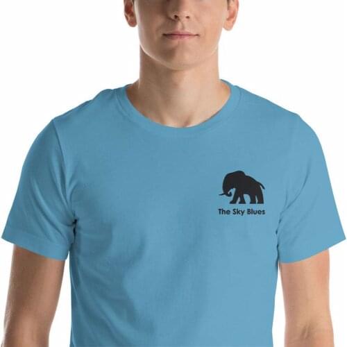 Coventry City Shirt soccer coach gift,football dad,stadium,stadium art,english soccer,england jersey,park city,fc,coventry cit