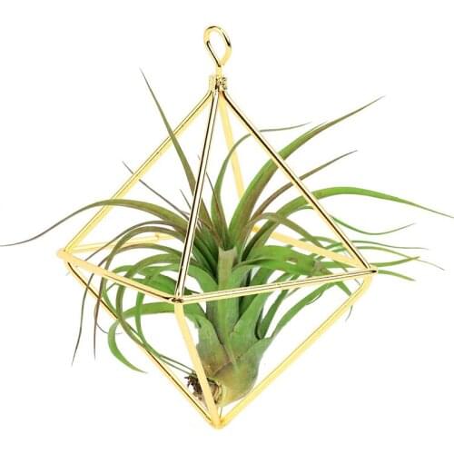 1PC New Hanging Planters Geometric Swing Wrought Iron Tillandsia Air Plants Holder Triangular Shaped Metal Rack