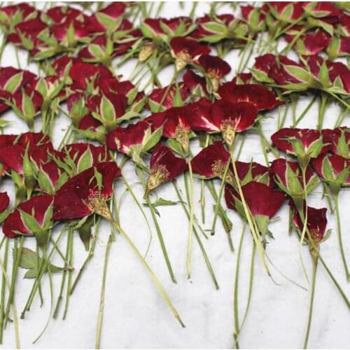 120pcs Pressed Dried Rose Flower Plants Herbarium For Resin Jewelry Making Postcard Frame Phone Case Craft DIY