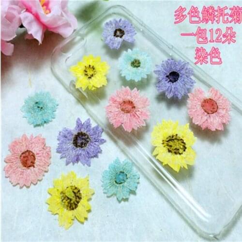 120pcs Pressed Dried Strawflower Flower Plant Herbarium For Jewelry Pendant Ring Earrings Flower Making Accessories 5 Colors