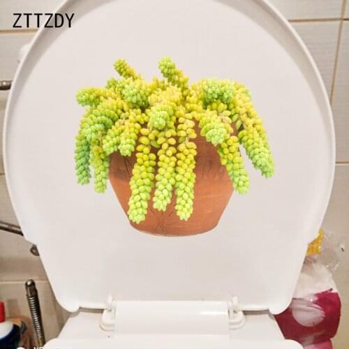 ZTTZDY 22×20.1CM Lovely Succulent Pot Bathroom Decoration Toilet Sticker Fashion Home Wall Accessories T6-0267
