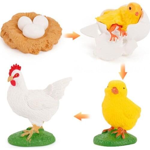 1 Set children cognitive toys Simulation Animals model Life Cycle for children over 3 years old Early Learning Cognitive Toys